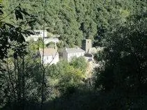 Village 20101027-molbias